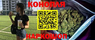 ГАЛЛЮЦИНОГЕННЫЕ ГРИБЫ Кингисепп