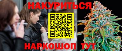 индика Кинель