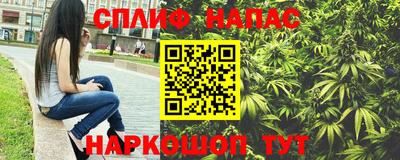ГАЛЛЮЦИНОГЕННЫЕ ГРИБЫ Кингисепп